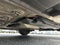 2016 Ford Focus S