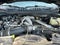 2021 Ford F-250SD XLT