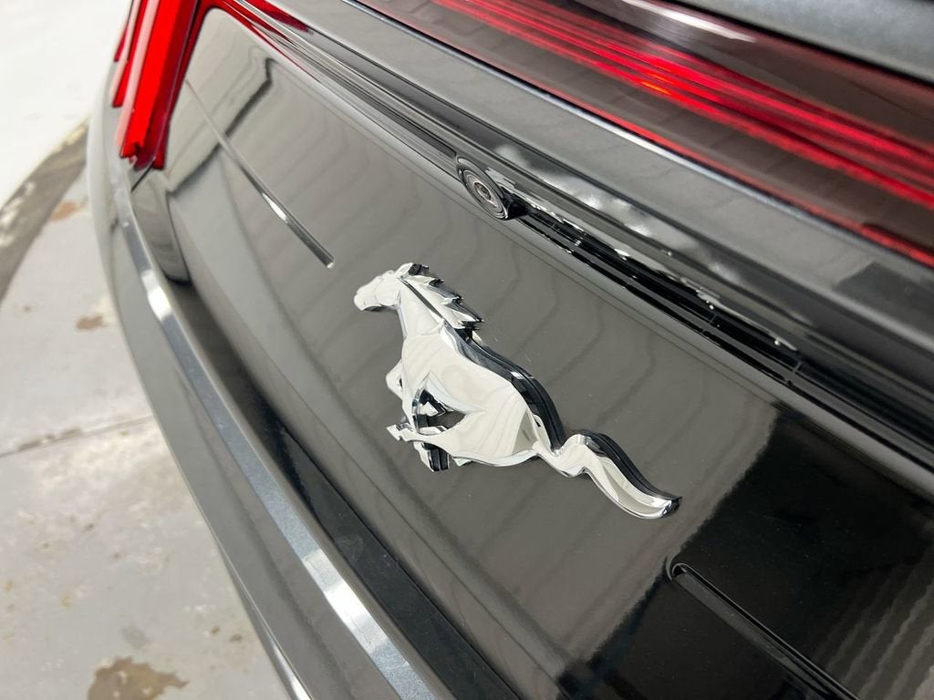 2023 Ford Mustang EcoBoost