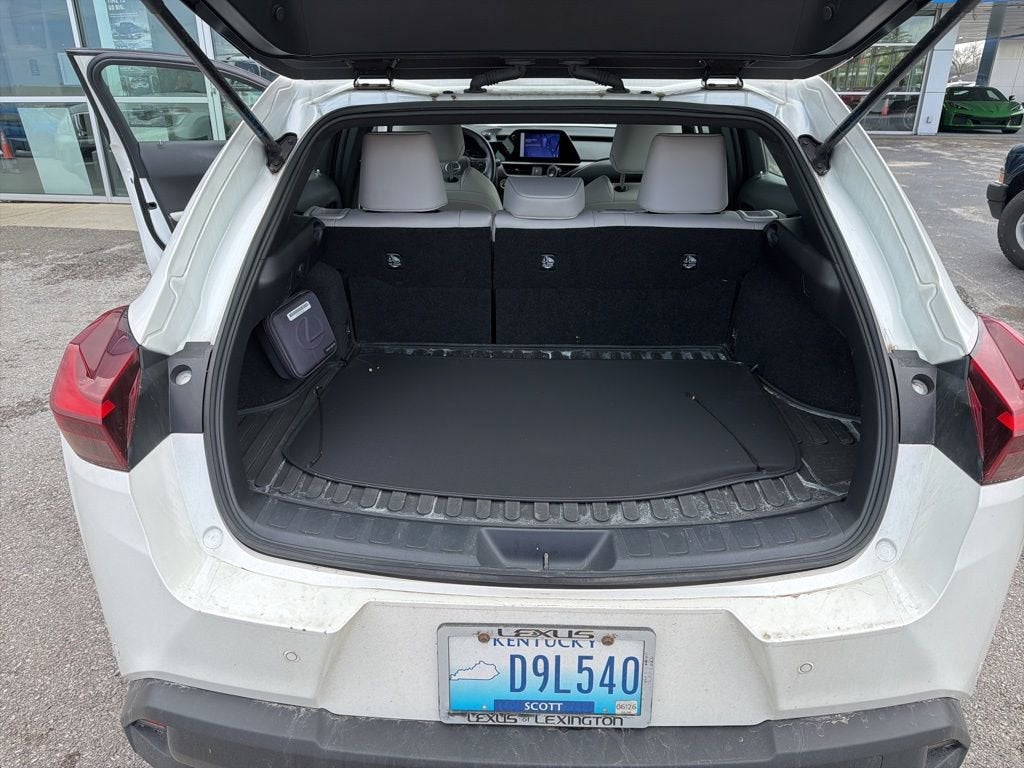 2023 Lexus UX UX 250h