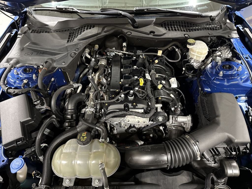 2023 Ford Mustang EcoBoost