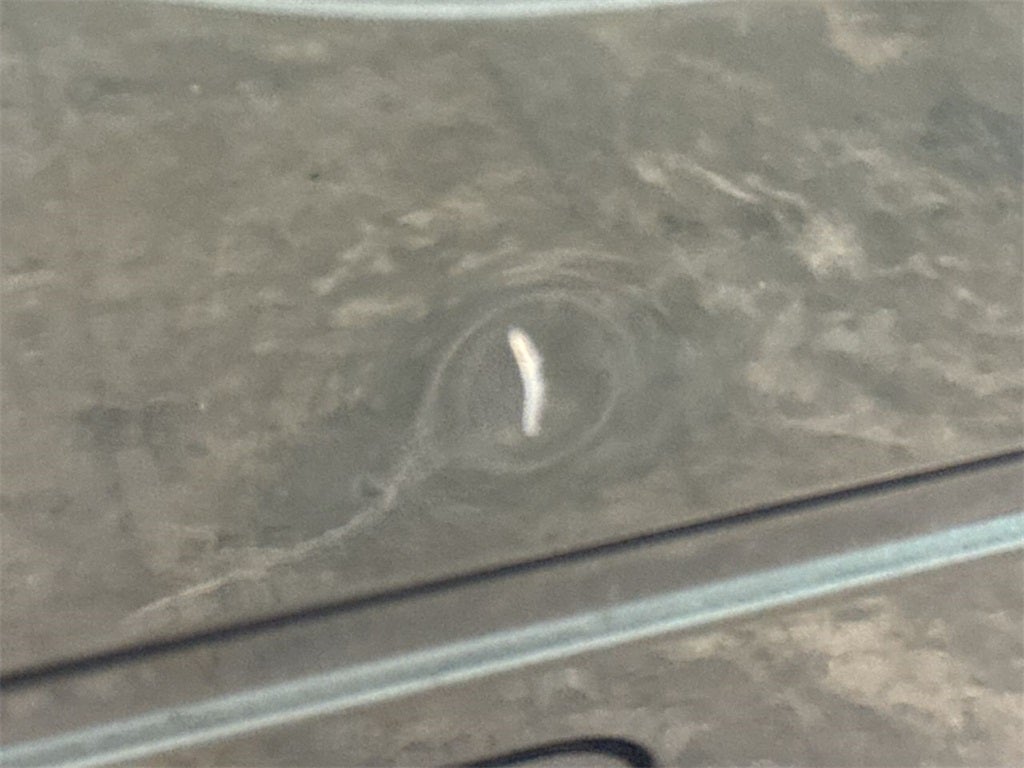 2016 Ford F-250SD XL