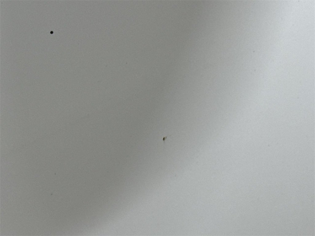 2002 Ford F-150 Lariat