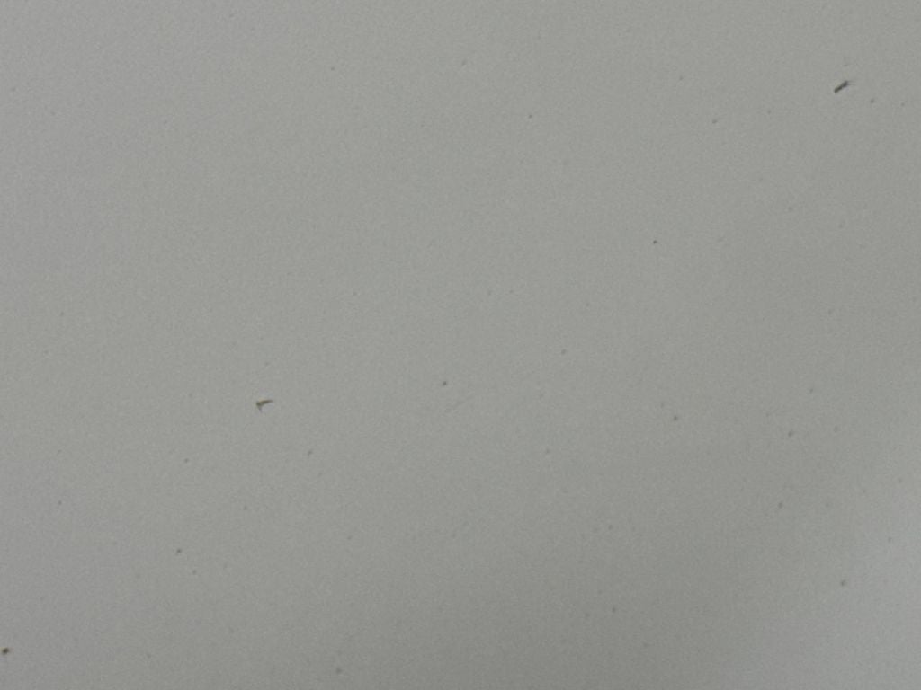 2013 Lincoln MKX Base