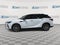 2024 Lexus RX RX 350h