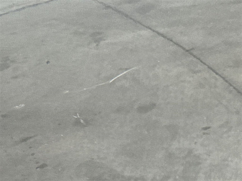 2011 Subaru Legacy 2.5i