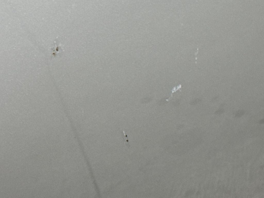 2010 INFINITI G37 Base