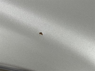 2016 MINI Countryman Cooper S