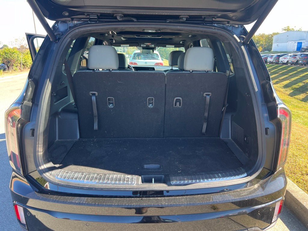 2024 Kia Telluride SX-Prestige X-Pro
