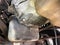 2004 Ford Super Duty F-250 XL