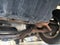 2008 Chevrolet Suburban LT w/2LT