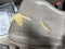 2001 Honda Accord Sdn EX w/Leather