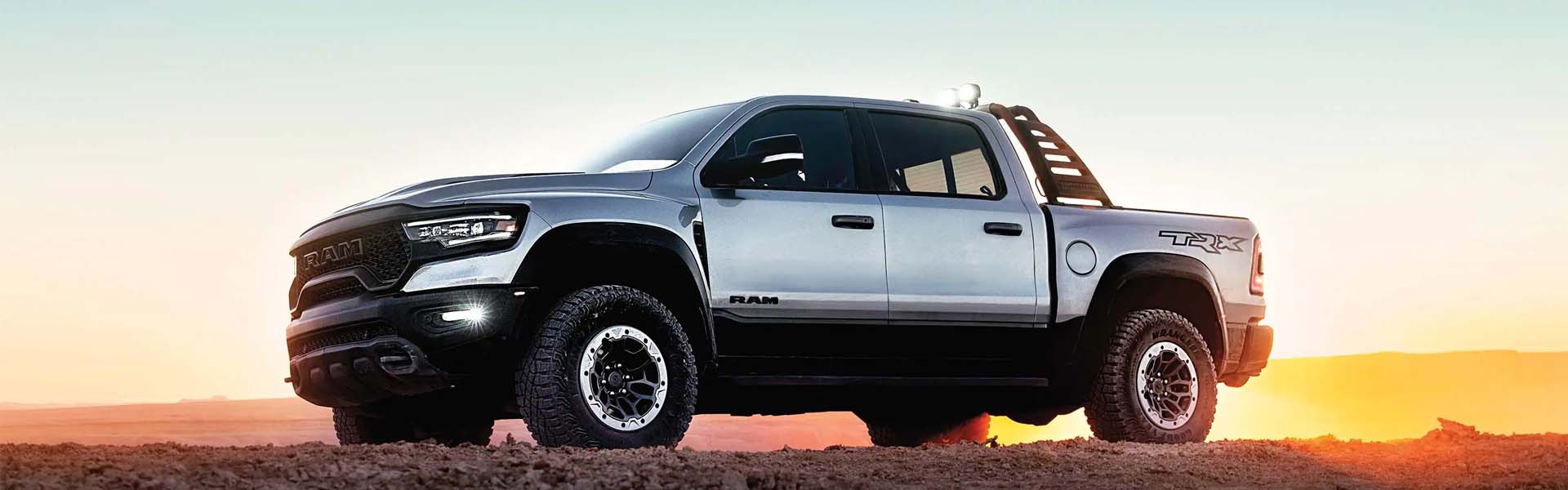 Ram on sandy road during sunset