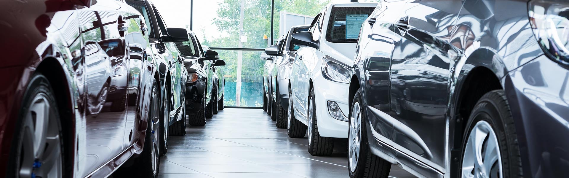 Rows of cars on showroom floor